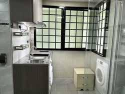 Simei Green Condominium (D18), Condominium #591959961